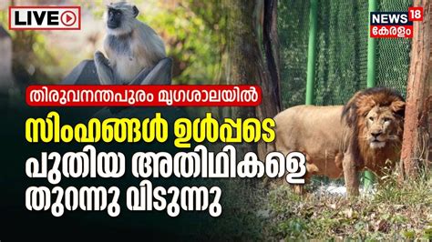 Live Thiruvananthapuram Zoo Welcomes New Lions Minister J Chinchu