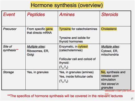 Peptide Vs Steroid Hormones - cloudshareinfo