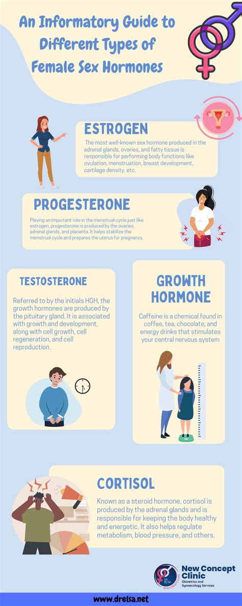 An Informatory Guide To Different Types Of Female Sex Hormones By Dr