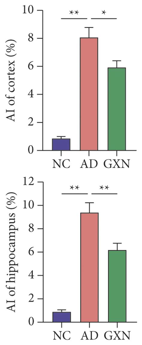 Gxn Attenuated Neuronal Apoptosis In Ad Rabbits A Representative