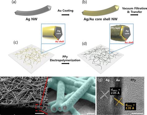 Fabrication Step Of Ag Au Ppy Core Shell Nw Network Mesh Film And Its