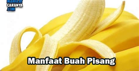 ️ Manfaat Buah Pisang Untuk Kesehatan Dan Meningkatkan Gairah Sex