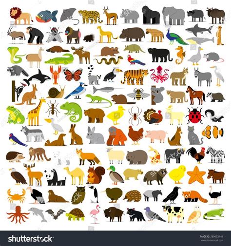 Vector Set Cartoon Different Animals Isolated Stock Vector Royalty