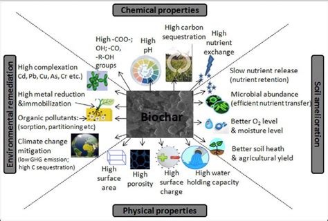 Biochar A Sustainable Approach For Improving Soil Health And