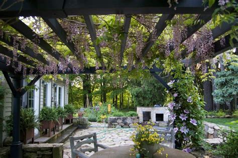 wisteria pergola 2 | Wisteria pergola, Pergola garden, Pergola patio