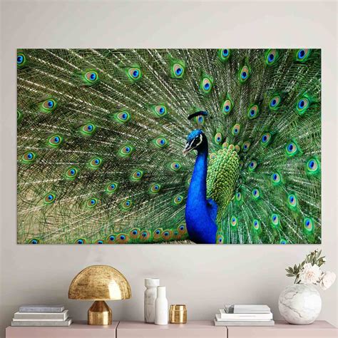 Peacock Wall Art, Green Canvas, Paecock Poster, Animal Wall Decor ...