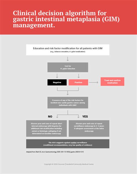 New Guidelines For Gastric Precancer Management Vanderbilt Discover