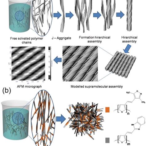 A Schematic Representation Formation Of A Hierarchical Assembly Download Scientific Diagram