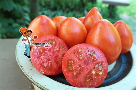 Dwarf Red Heart Tomato Seeds For Sale At Renaissance Farms