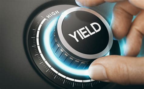 What To Look for When Choosing the Best Dividend Stocks