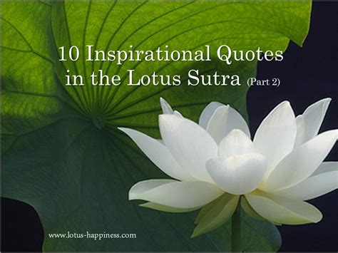 10 Inspirational Quotes in the Lotus Sutra (Part 2) - Lotus Happiness