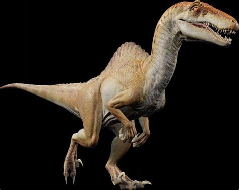 The Spinoraptor A Dinosaur That Resembles A Cross Between A