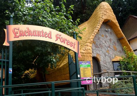 10 Best Things To Do At Enchanted Forest Oregon