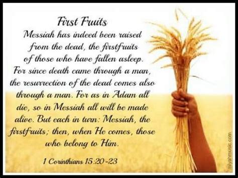 First Fruits 1 Corinthians 1520 23 We Shall All Be Made Alive