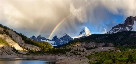 Wildlife of the Canadian Rockies | Bears, Bighorn Sheep