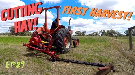 First Harvest Cutting Hay Massey Ferguson 135 And Sickle Bar Mower Vintage Farming Rusted Iron