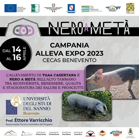 Progetto Nero A Meta Evento Gal Alto Tammaro