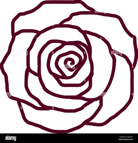 Rose petal outline Stock Vector Image & Art - Alamy