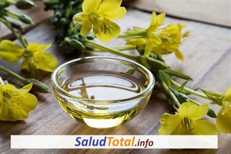 Beneficios Y Propiedades Del Aceite Onagra