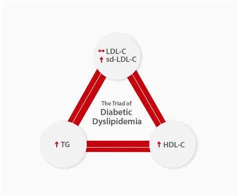 ChemBook Issue 2 Chapter 1 Diabetic Dyslipidemia Things You Need To