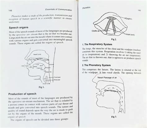 SOLUTION Phonetics And Phonology Notes In English Studypool