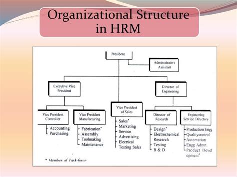 Structure Of Human Resource