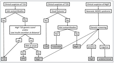 Endocrines Free Full Text The Etiological Diagnosis Of Diabetes