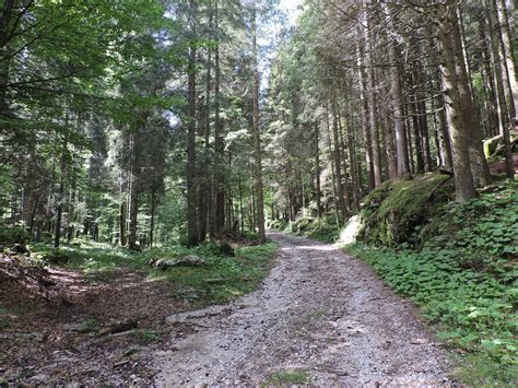 Monte Raitertal Zona Di Accampamento Dei Partigiani Nel Secondo