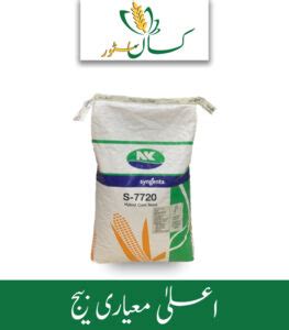 Nk Corn Seed Syngenta Seed Price In Pakistan Kissan Store