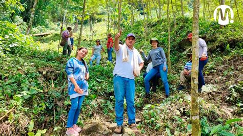 Con Apoyo De Ecopetrol Y Uniandes Familias Rurales Metenses