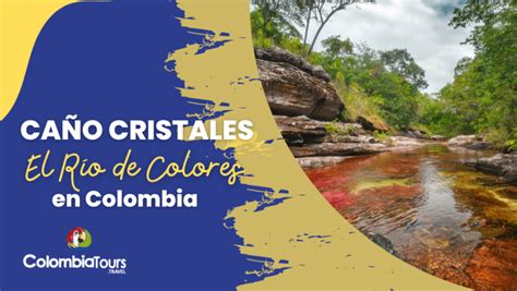 Descubre Ca O Cristales Colombia El R O De Colores En Colombia