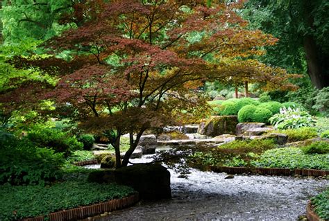 Cecil, Mabel & Maude — cityhoppersgarden: Botanic Gardens, Augsburg,...