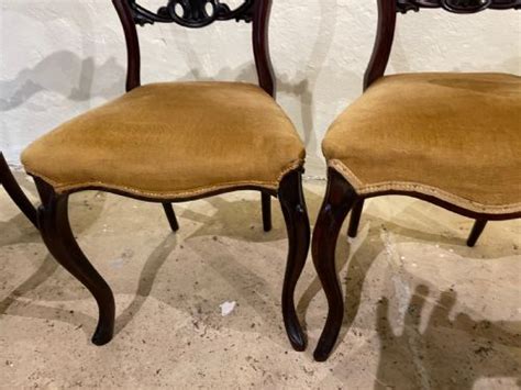 Victorian Rosewood Balloon Back Dining Chairs