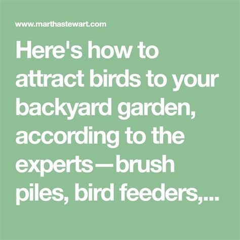 Seven Easy Ways To Attract More Birds To Your Backyard How To Attract Birds Natural Fence