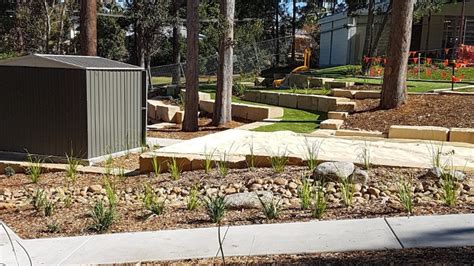 Kuluin State School - Oasis Landscaping | Landscaping Experts