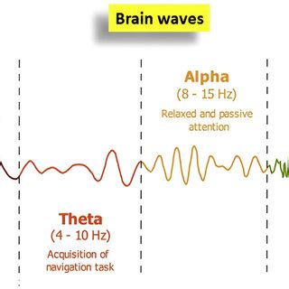 The six major brain waves in the human electroencephalogram The brain ...