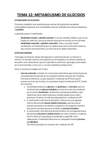 TEMA 12 Bq DEFINITIVO Convertido Pdf