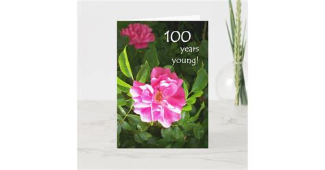 100th Birthday Card Pink Roses Zazzle