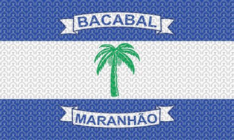 Brasão e Bandeira do Município de Bacabal MA mbi br