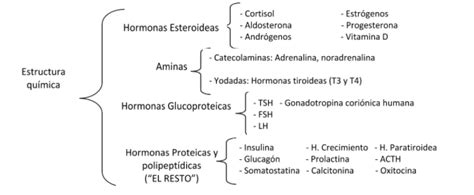 Fichero Conceptos Horizontal V3 0