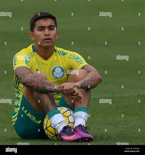 SÃO PAULO SP 03 11 2016 TREINO DO PALMEIRAS Pictured Dudu player