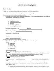 Nielsoncourtney Lab Integumentary System Sept Docx Lab