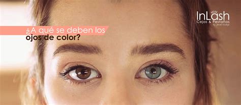 H eterocromia Ojos de Color InLash Cejas y Pestañas