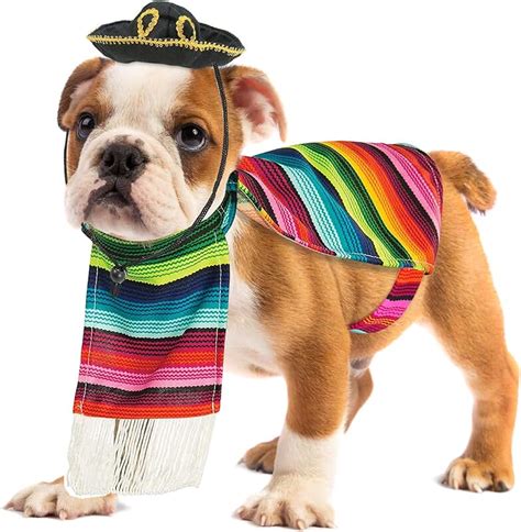 Amazon.com: Dog Costumes - Costumes / Apparel & Accessories: Pet Supplies