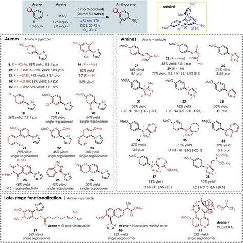 Site Selective Arene C H Amination Via Photoredox Catalysis Science