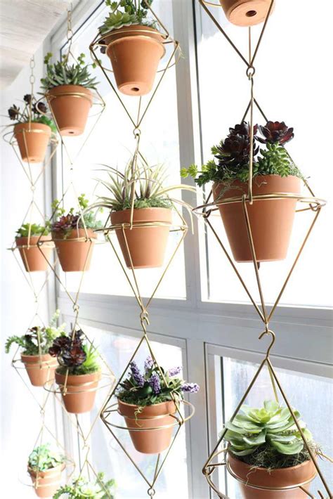 15 beautiful window plants ideas that will freshen up your house ...