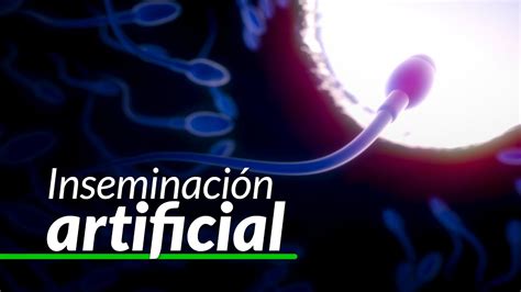 Cómo se hace una inseminación artificial IUI Semen propio IUD