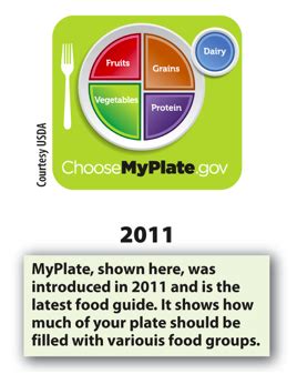 Chapter 14 Nutrition Flashcards Quizlet