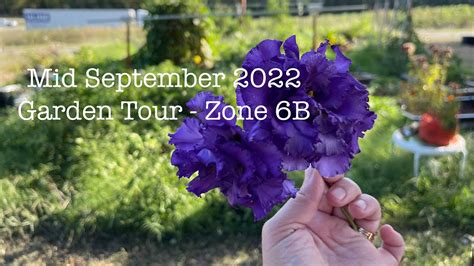 Mid September 2022 Garden Tour Zone 6B YouTube