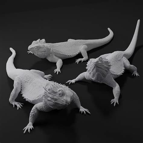 Bearded Dragon Realistic Lizard 3d Print Model 3d Model 3d Printable Cgtrader